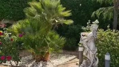 Chalet in Villarrobledo photo 37