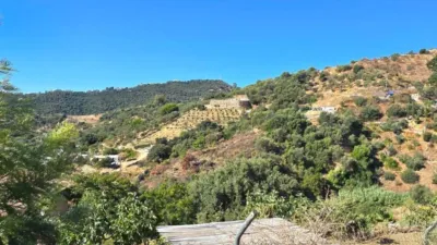 Rustic House in La Mairena photo 75