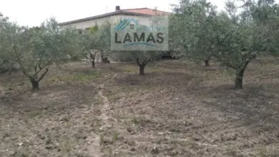 Rustic house in Talayuela photo 3