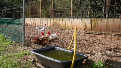 Rustic property in Olivella photo 49