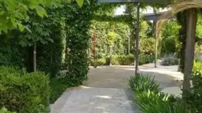 Chalet in Villarrobledo photo 62