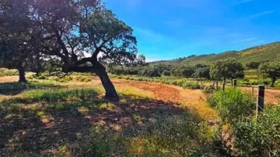 Rustic farmhouse in Zufre photo 25