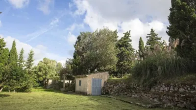 Rustic house in Capdepera photo 28