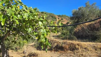 Rustic House in La Mairena photo 79