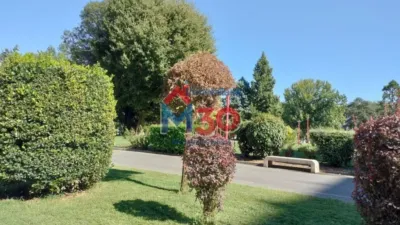 Apartment in Ensanche photo 18