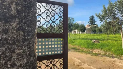Rustic house in Santa Margalida photo 31