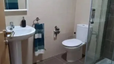 Apartment in Valle de Mena photo 22