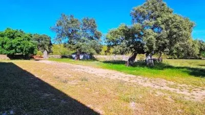 Rustic farmhouse in Zufre photo 37