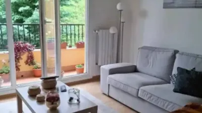 Apartment in Valle de Mena photo 3