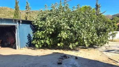 Rustic House in La Mairena photo 63
