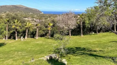 Rustic house in Capdepera photo 33