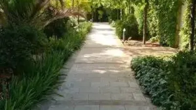 Chalet in Villarrobledo photo 34