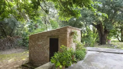 Rustic house in Capdepera photo 25