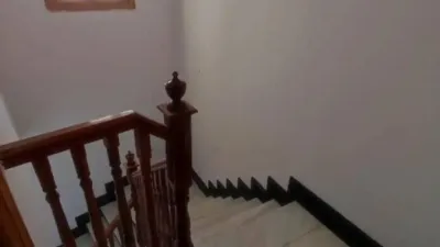 Miniatura 12