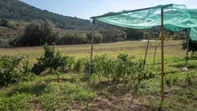 Rustic property in Olivella photo 51