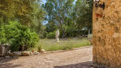 Rustic house in Algaida photo 20