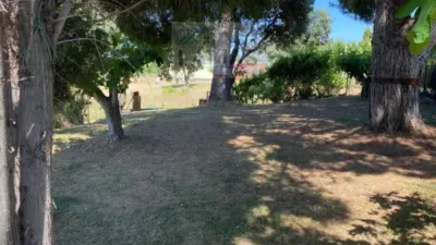 Rustic house in Belvís de Monroy photo 9