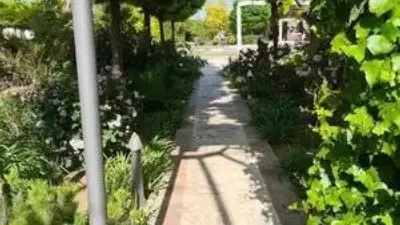 Chalet in Villarrobledo photo 11