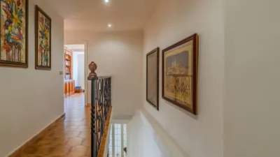 Duplex in Guardamar del Segura photo 36