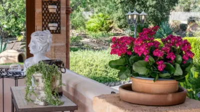 Rustic house in Capdepera photo 18