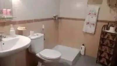 Miniatura 12