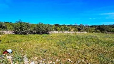 Rustic farmhouse in Zufre photo 23