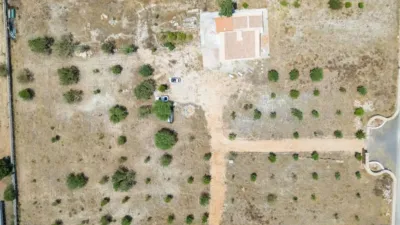 Rustic house in Santa Margalida photo 11