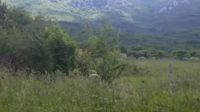 Chalet in Valle de Mena photo 5