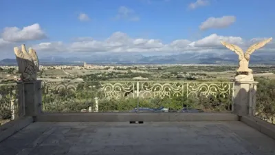Rustic villa in Santa Margalida photo 37