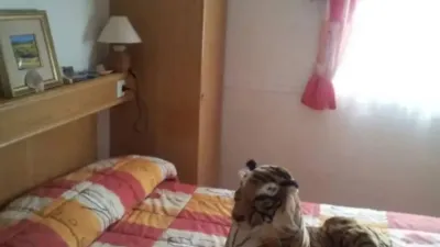 Chalet in Covarrubias photo 12