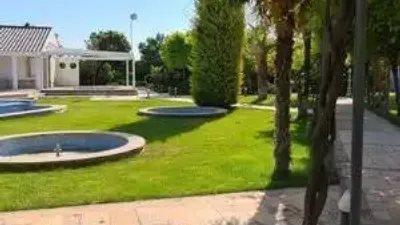 Chalet in Villarrobledo photo 16