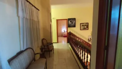 Miniatura 11