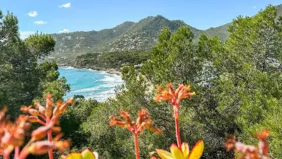 Chalet in Capdepera photo 4
