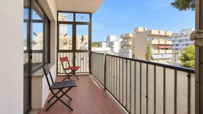 Apartment in Son Servera photo 9