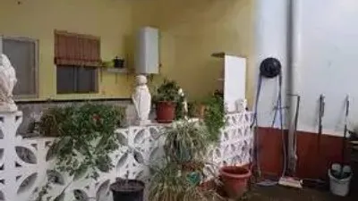Miniatura 12