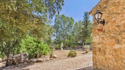 Rustic house in Algaida photo 10