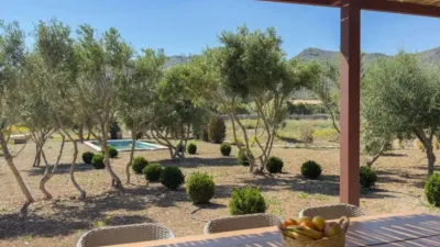 Rustic house in Capdepera photo 29