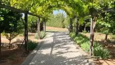 Chalet in Villarrobledo photo 52
