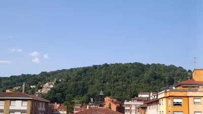 Apartment in Langreo photo 98