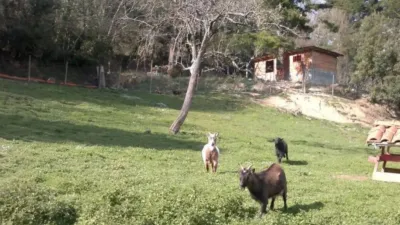 Chalet in Valle de Mena photo 6