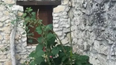 Chalet in Valle de Manzanedo photo 2