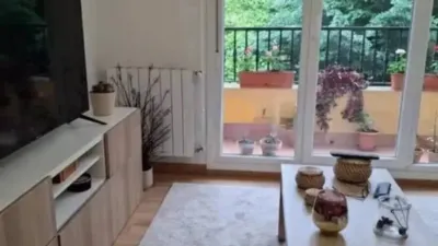 Apartment in Valle de Mena photo 4