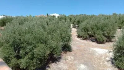 Terraced house in Media Panilla photo 9