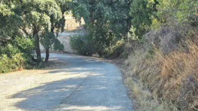 Rustic House in La Mairena photo 81
