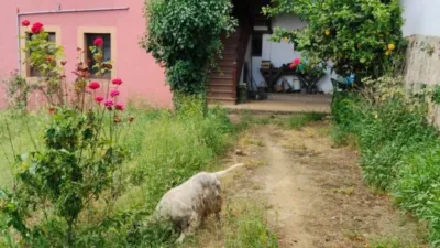Rustic house in Bascuas photo 34