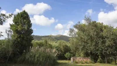 Rustic house in Capdepera photo 27