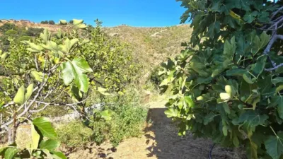 Rustic House in La Mairena photo 77