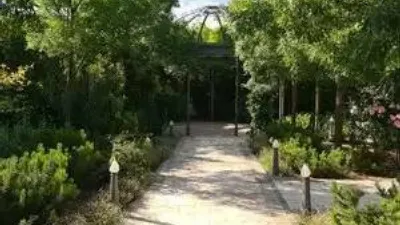 Chalet in Villarrobledo photo 12