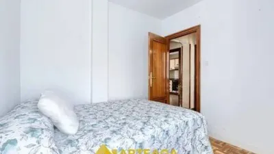 Apartment in Arteagabeitia-Retuerto-Kareaga photo 21