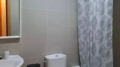 Apartment in Valle de Mena photo 24